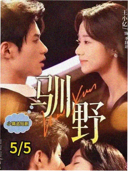 二手书店的旧书区整理现场